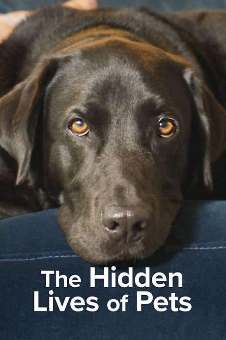 The Secret Life of Our Pets